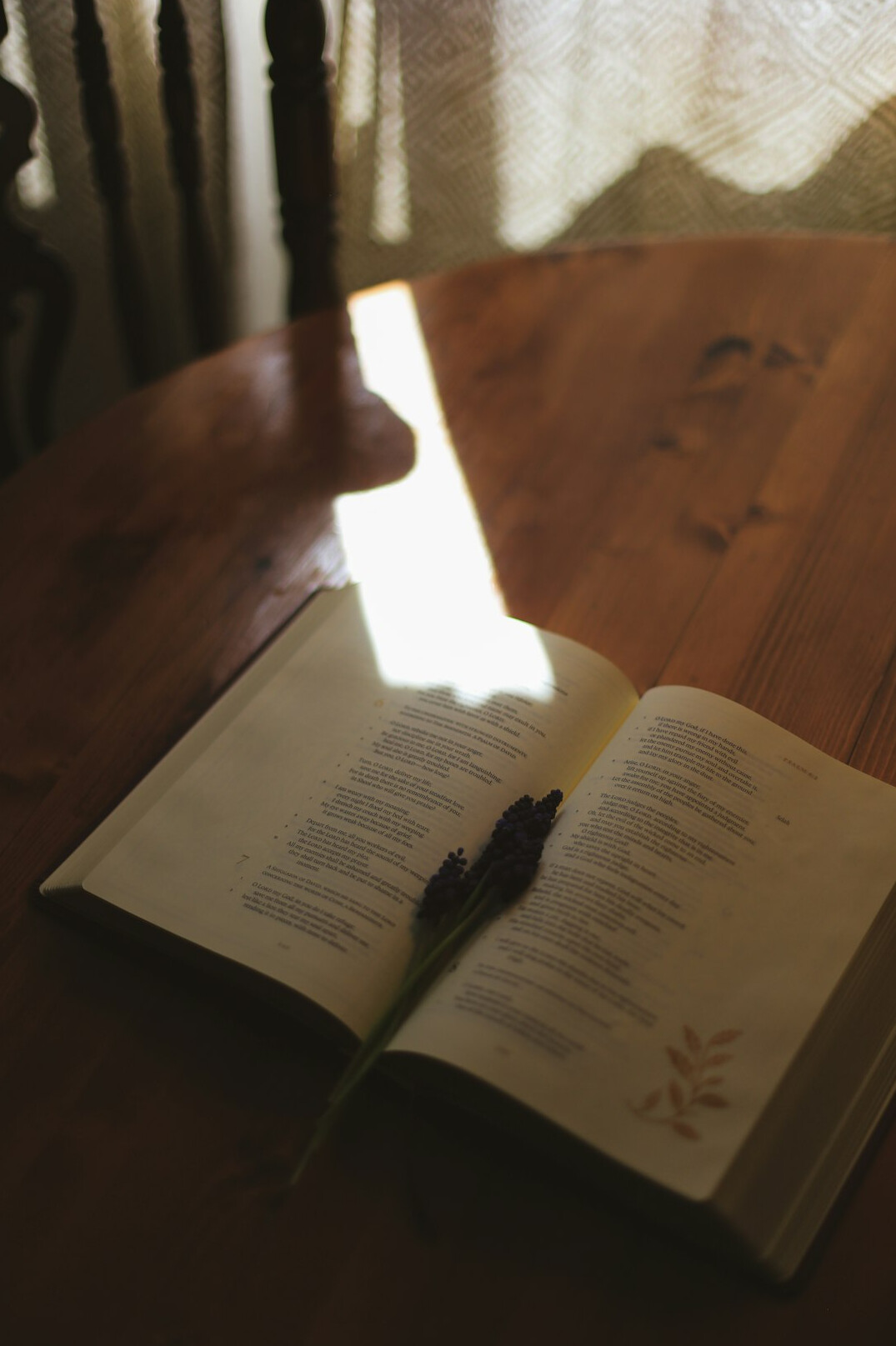 Open magazine pages on a wooden table