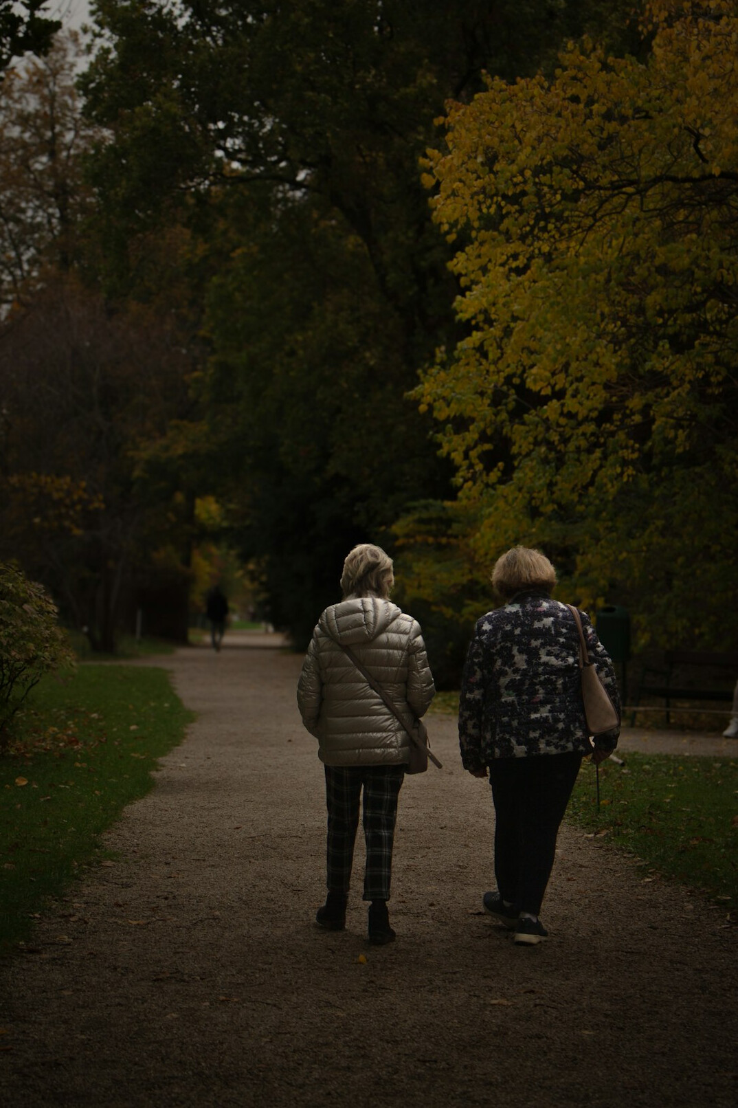 elderly person walking in park